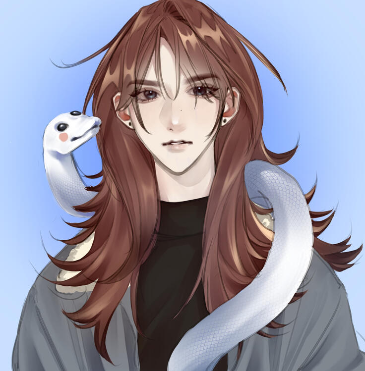 Clip Studio Paint (OC)